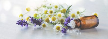 Fläschen Globulis mit Lavendel und Kamille-Banner/Hintergrund f